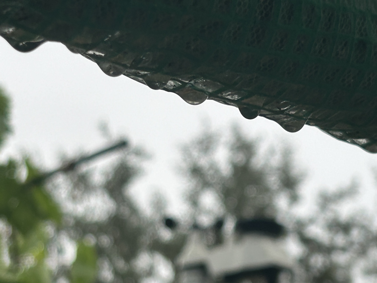 Rain drops